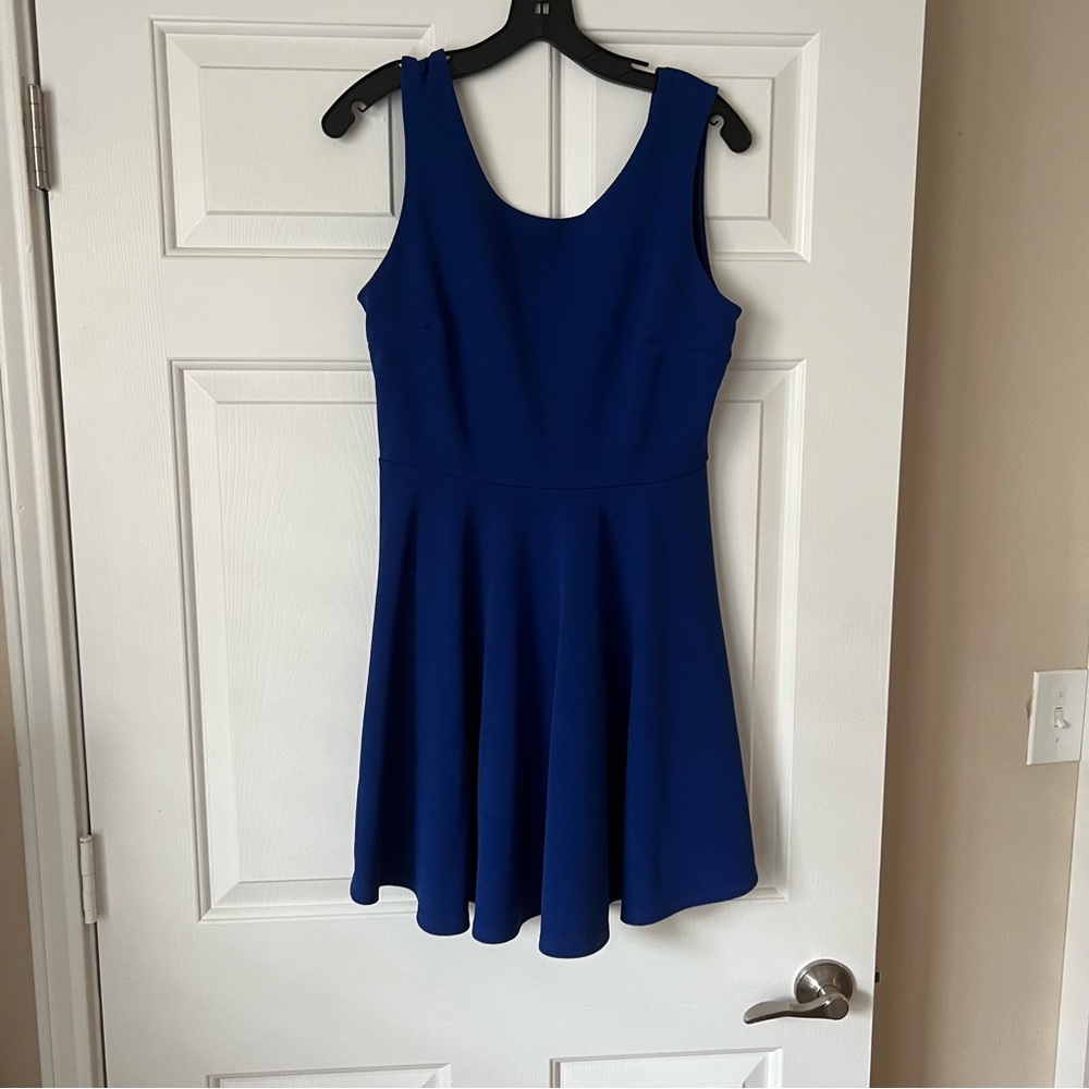 Forever 21 Blue Sleeveless Skater Dress